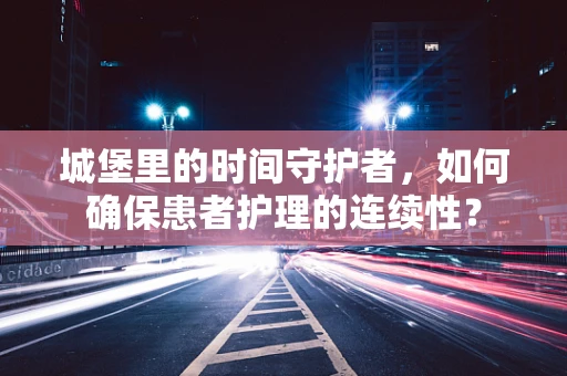 城堡里的时间守护者，如何确保患者护理的连续性？