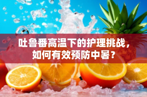 吐鲁番高温下的护理挑战，如何有效预防中暑？