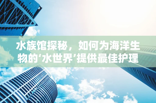 水族馆探秘，如何为海洋生物的‘水世界’提供最佳护理？