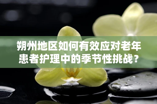 朔州地区如何有效应对老年患者护理中的季节性挑战？