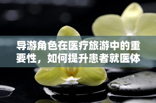 导游角色在医疗旅游中的重要性，如何提升患者就医体验？