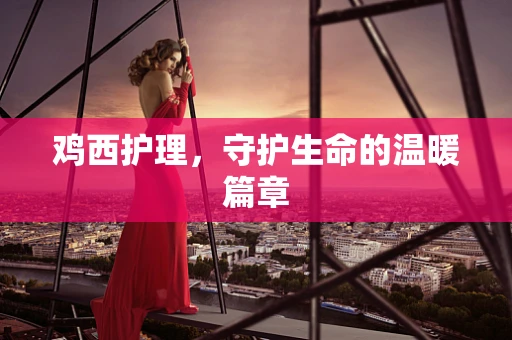 鸡西护理，守护生命的温暖篇章