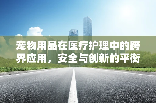 宠物用品在医疗护理中的跨界应用，安全与创新的平衡