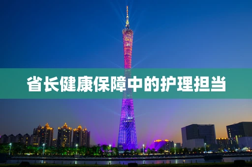 省长健康保障中的护理担当