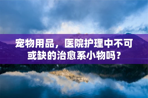 宠物用品，医院护理中不可或缺的治愈系小物吗？
