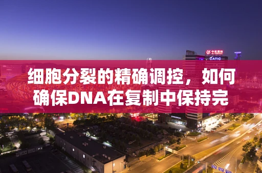 细胞分裂的精确调控，如何确保DNA在复制中保持完整？