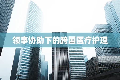 领事协助下的跨国医疗护理