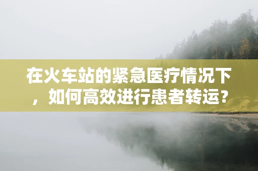 在火车站的紧急医疗情况下，如何高效进行患者转运？