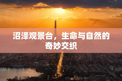 沼泽观景台，生命与自然的奇妙交织
