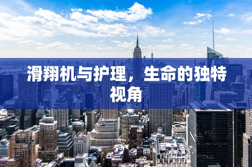 滑翔机与护理，生命的独特视角