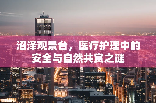 沼泽观景台，医疗护理中的安全与自然共赏之谜