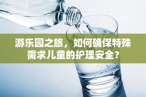 游乐园之旅，如何确保特殊需求儿童的护理安全？