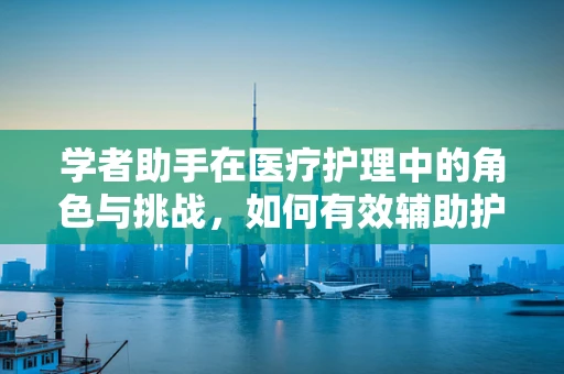 学者助手在医疗护理中的角色与挑战，如何有效辅助护理决策？