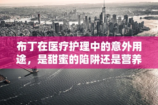 布丁在医疗护理中的意外用途，是甜蜜的陷阱还是营养补充的秘密？