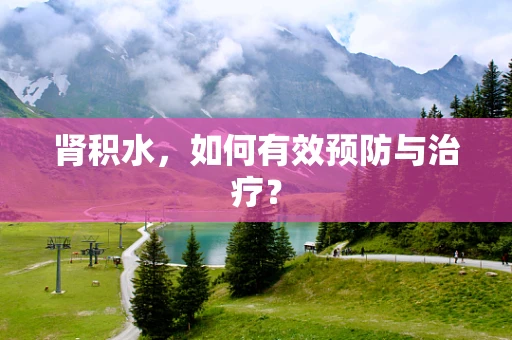 肾积水，如何有效预防与治疗？