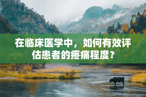 在临床医学中，如何有效评估患者的疼痛程度？