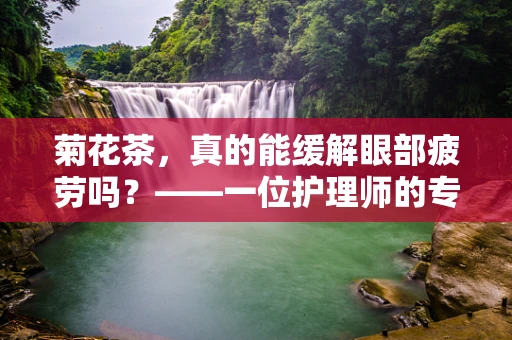 菊花茶，真的能缓解眼部疲劳吗？——一位护理师的专业视角