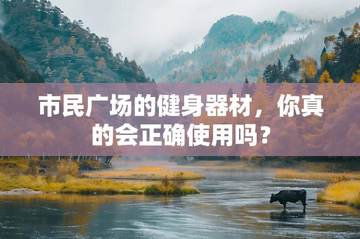 市民广场的健身器材，你真的会正确使用吗？