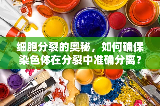 细胞分裂的奥秘，如何确保染色体在分裂中准确分离？