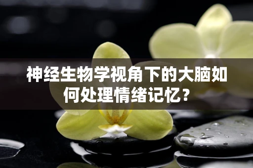 神经生物学视角下的大脑如何处理情绪记忆？