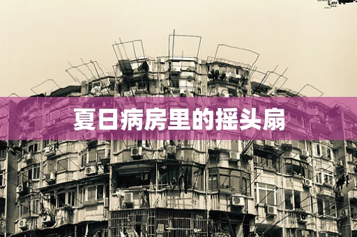 夏日病房里的摇头扇