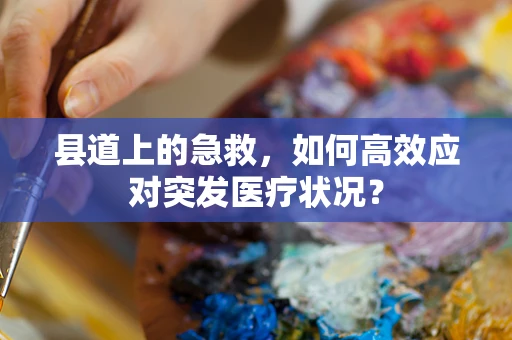 县道上的急救，如何高效应对突发医疗状况？