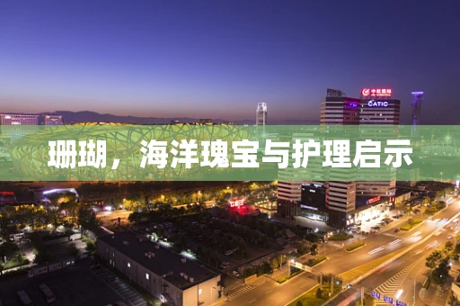 珊瑚，海洋瑰宝与护理启示