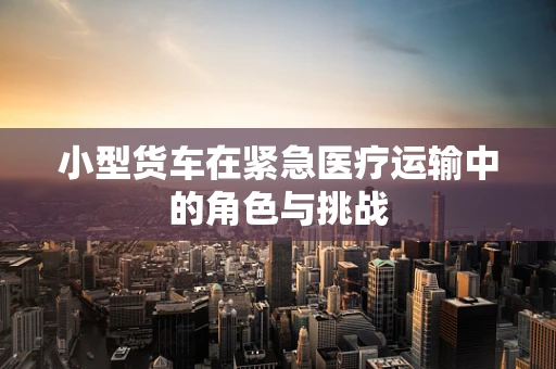 小型货车在紧急医疗运输中的角色与挑战