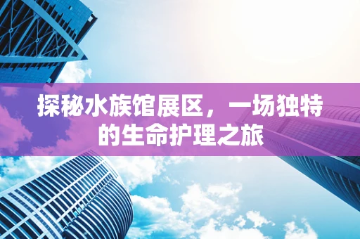 探秘水族馆展区，一场独特的生命护理之旅