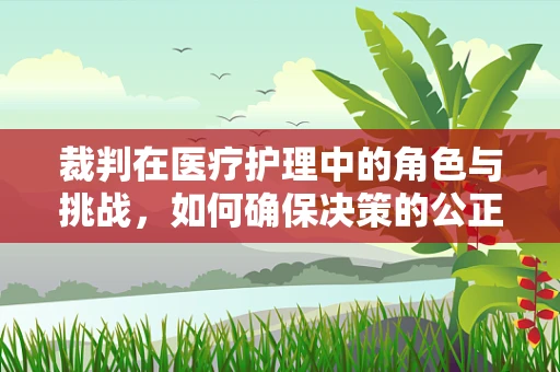 裁判在医疗护理中的角色与挑战，如何确保决策的公正与专业？