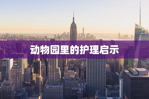 动物园里的护理启示