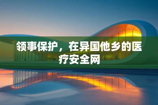领事保护，在异国他乡的医疗安全网