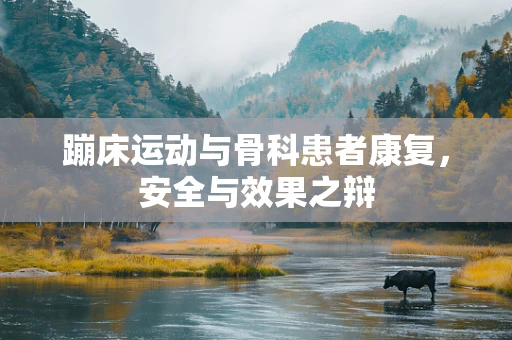 蹦床运动与骨科患者康复，安全与效果之辩