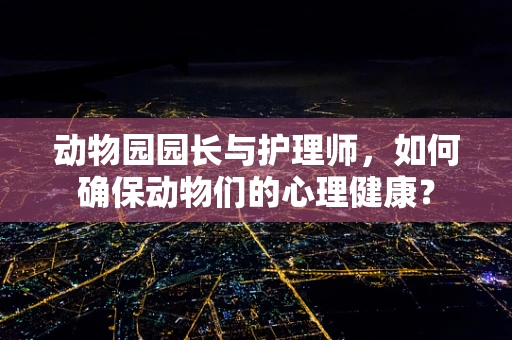 动物园园长与护理师，如何确保动物们的心理健康？