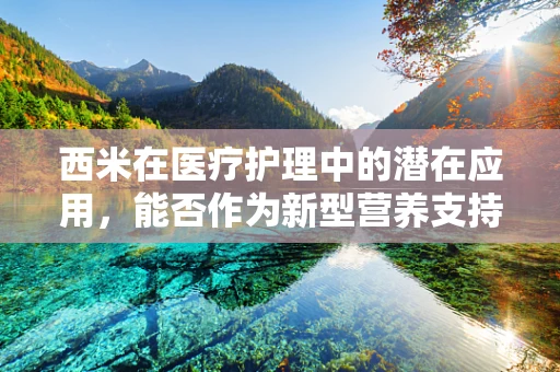 西米在医疗护理中的潜在应用，能否作为新型营养支持手段？