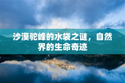 沙漠驼峰的水袋之谜，自然界的生命奇迹