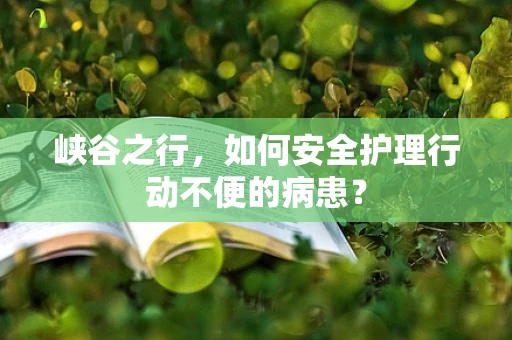 峡谷之行，如何安全护理行动不便的病患？
