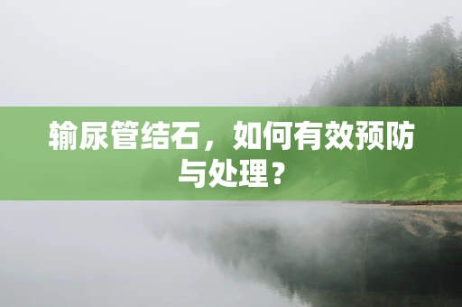 输尿管结石，如何有效预防与处理？