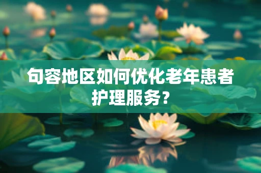 句容地区如何优化老年患者护理服务？