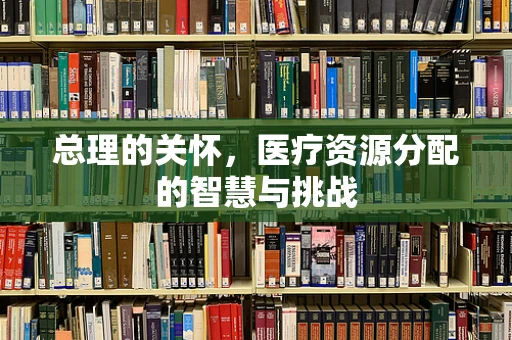 总理的关怀，医疗资源分配的智慧与挑战