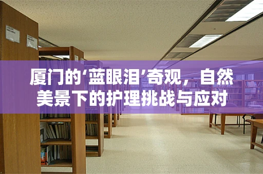 厦门的‘蓝眼泪’奇观，自然美景下的护理挑战与应对