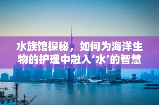 水族馆探秘，如何为海洋生物的护理中融入‘水’的智慧？
