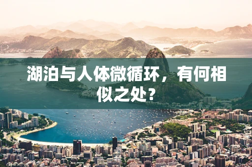 湖泊与人体微循环，有何相似之处？