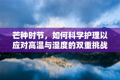 芒种时节，如何科学护理以应对高温与湿度的双重挑战？