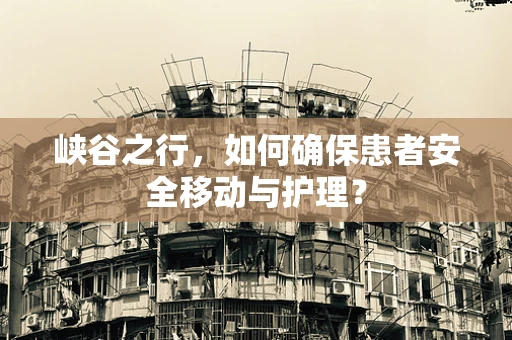 峡谷之行，如何确保患者安全移动与护理？