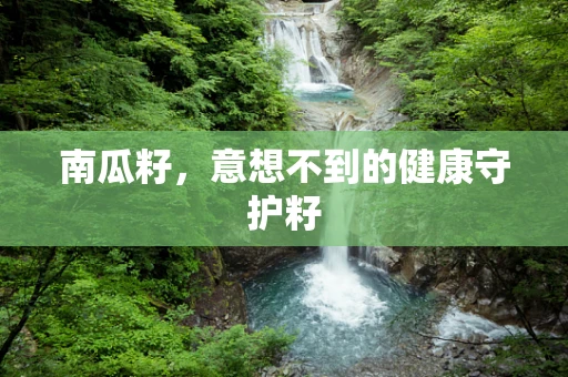 南瓜籽，意想不到的健康守护籽