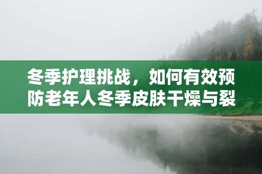 冬季护理挑战，如何有效预防老年人冬季皮肤干燥与裂伤？