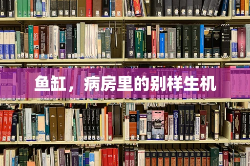 鱼缸，病房里的别样生机
