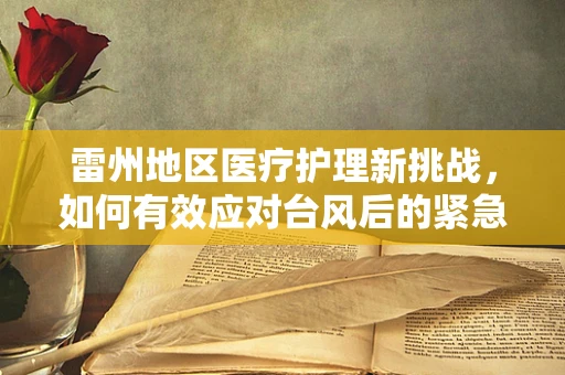 雷州地区医疗护理新挑战，如何有效应对台风后的紧急护理需求？