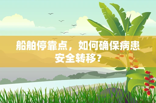 船舶停靠点，如何确保病患安全转移？